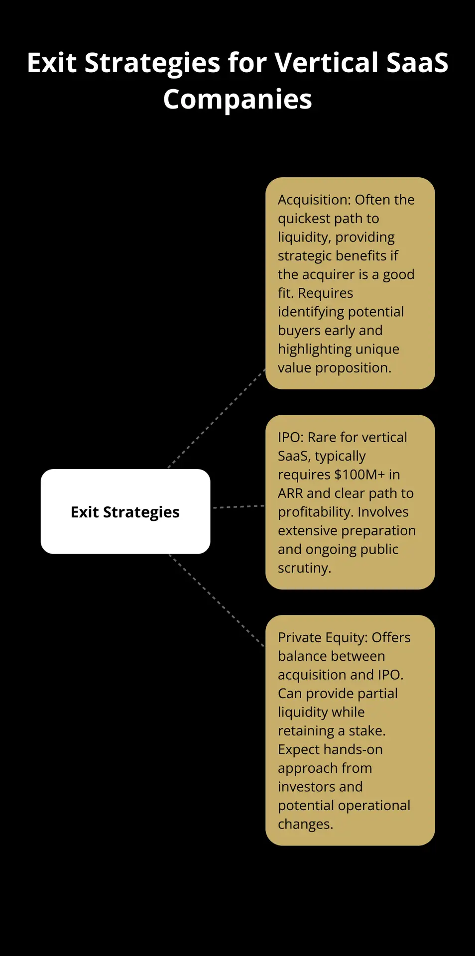 Hub and spoke chart showing three main exit strategies for vertical SaaS companies: Acquisition, IPO, and Private Equity - exit strategy for niche software companies