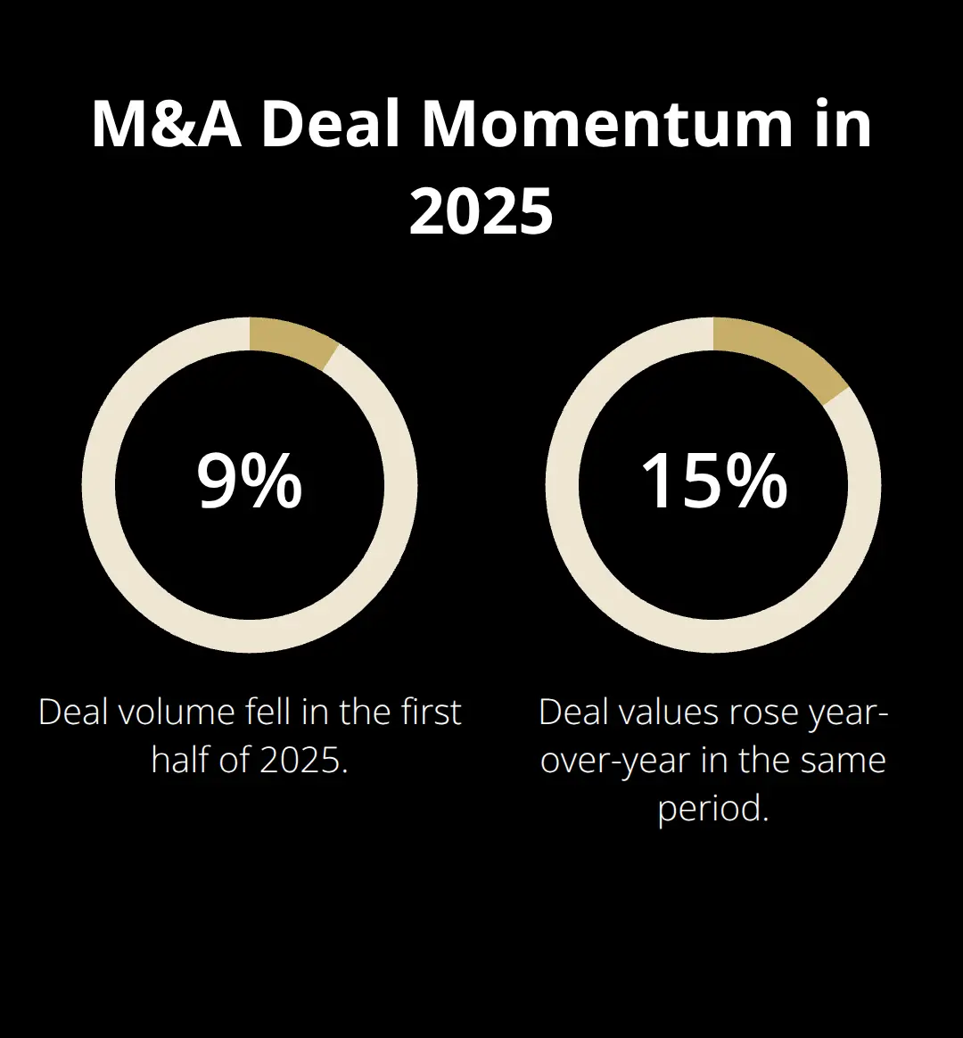 Chart showing 9% drop in deal volume and 15% jump in deal values in early 2025 - market timing