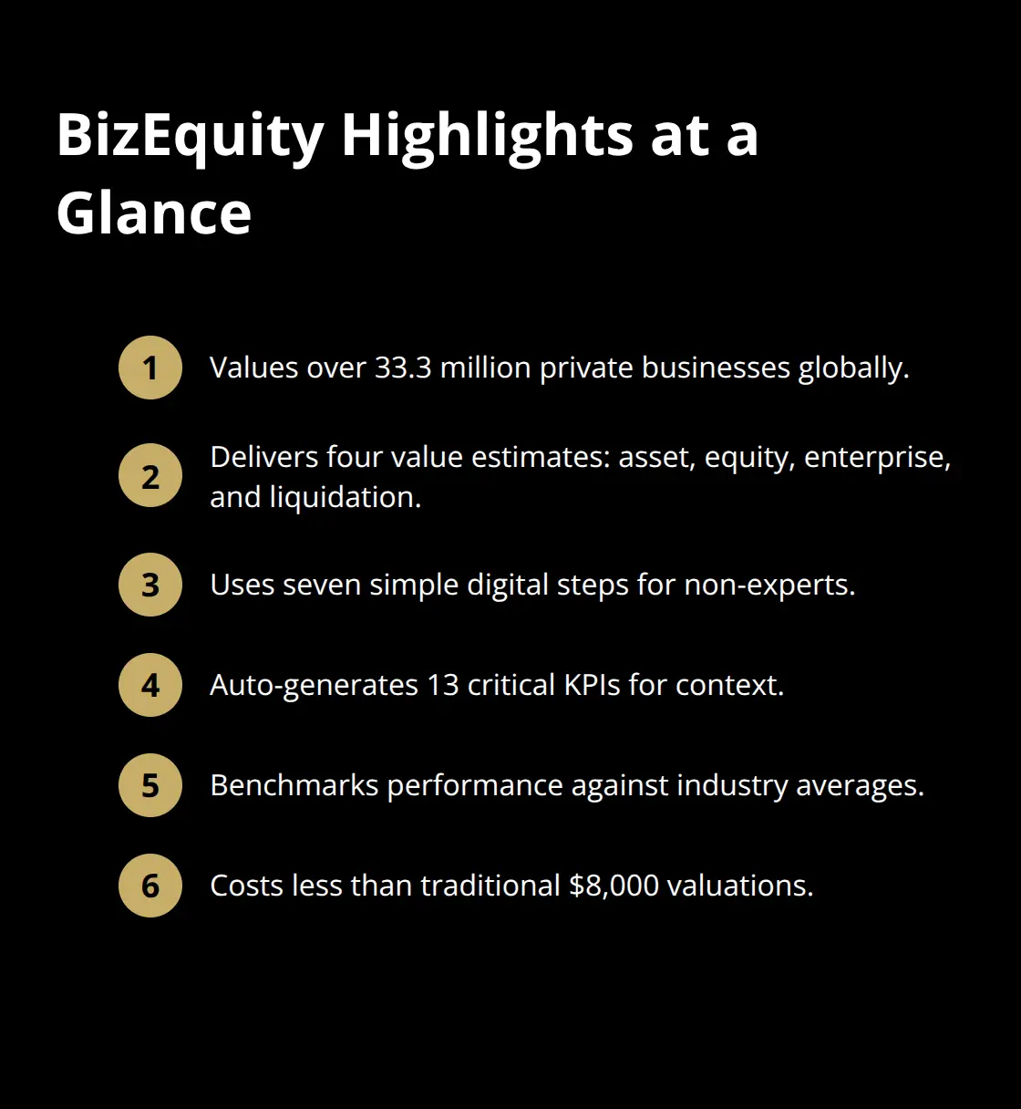 Compact list summarizing BizEquity capabilities, outputs, and cost advantages. - valuation software